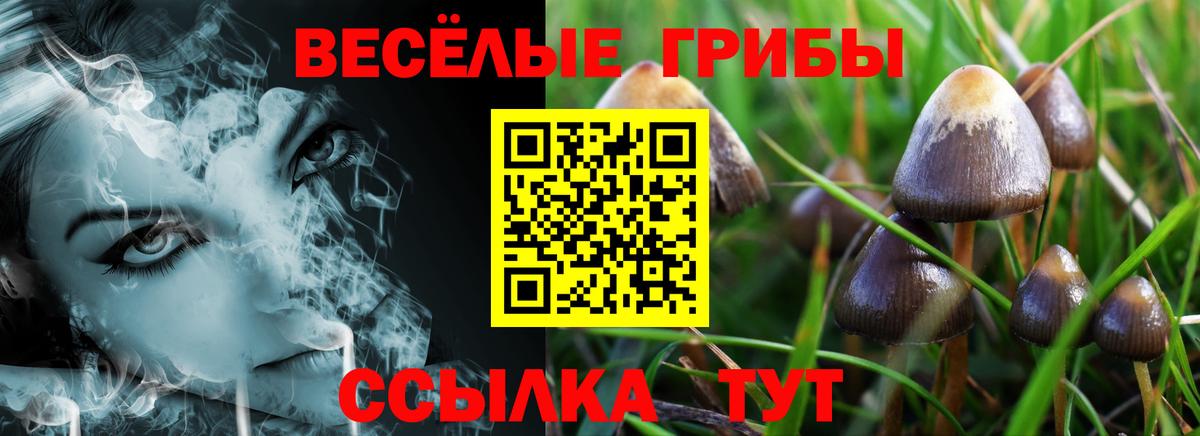 Галлюциногенные грибы GOLDEN TEACHER Гусев