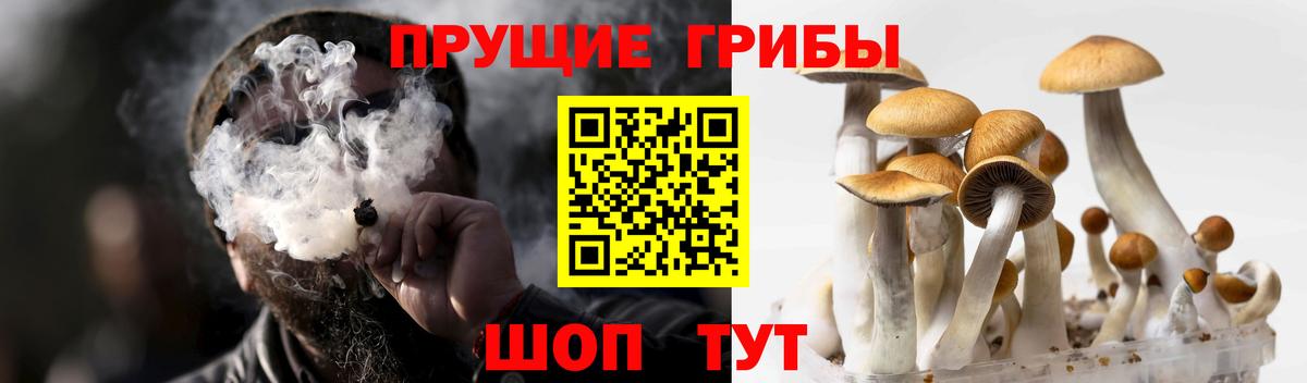 Гусев  Галлюциногенные грибы мухоморы  Вход с VPN 